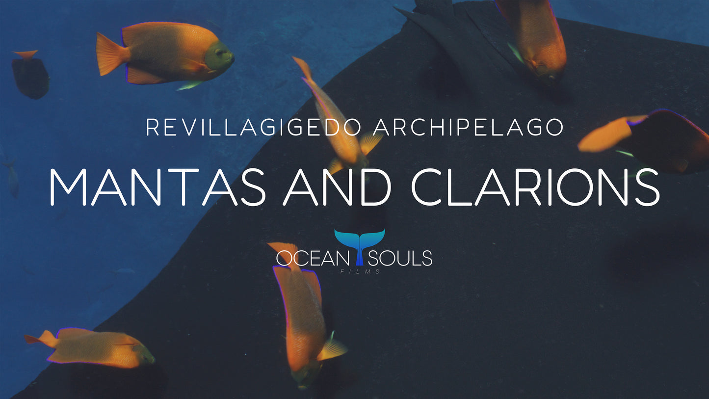 Mantas and Clarions