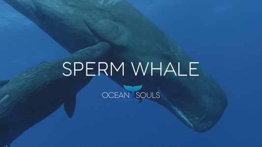 Sperm whale